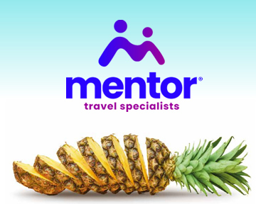 MentorTravel