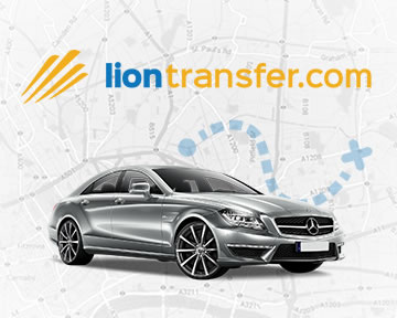 Lion-Tranfer