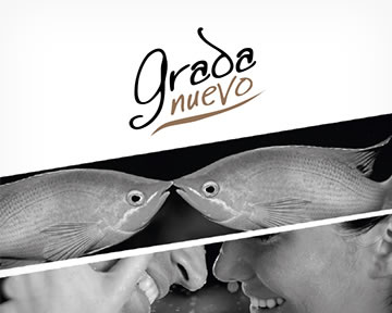 Grada-Nuevo